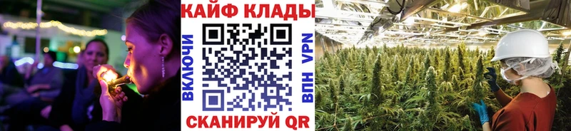 Продажа наркотиков Бронницы Псилоцибиновые грибы  ГАШИШ  Марихуана  СК 