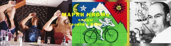 дживик Богородск