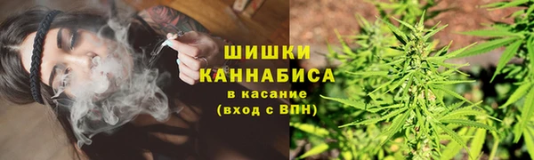 твердый Белокуриха