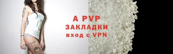 дживик Богородск