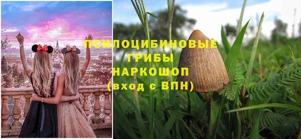 эйфоретик Богородицк