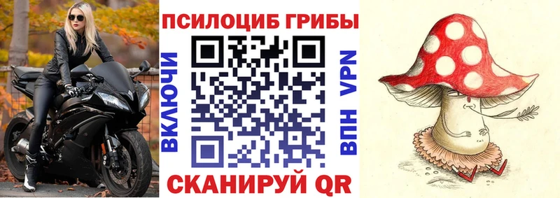 KRAKEN ТОР Бронницы Галлюциногенные грибы мицелий как найти наркотики