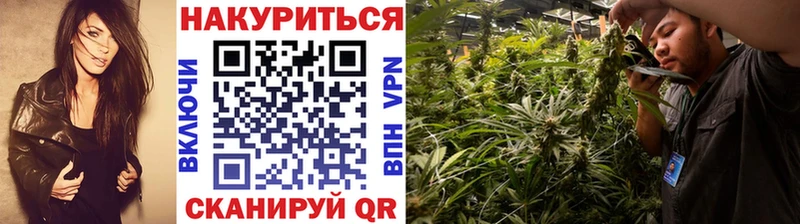 Каннабис Amnesia  Бронницы 